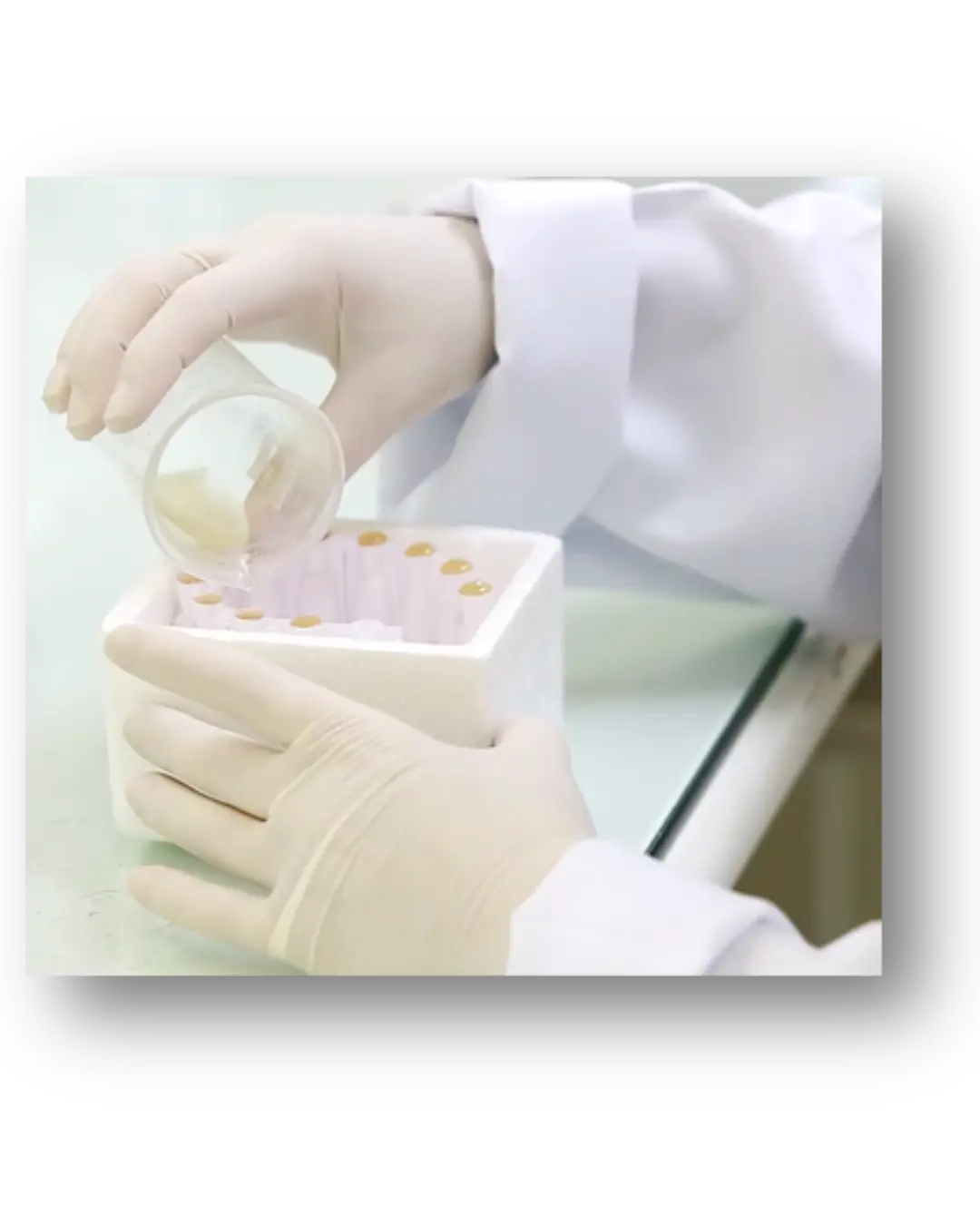 Bio lab2 (3)